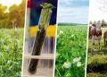 cultivo de proteinas
