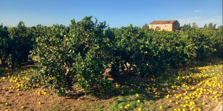 DANA Valencia - La Unio