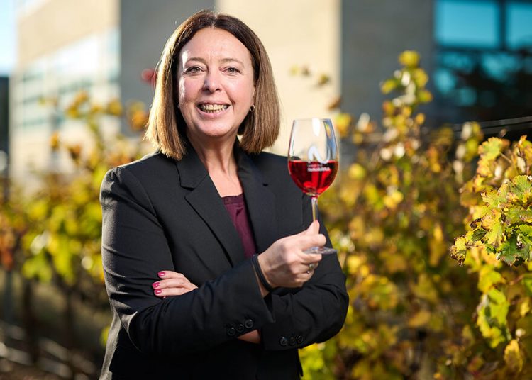 Puy Triguero - DO Navarra