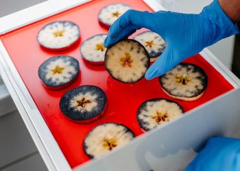 VIP Val Venosta - uso de IA