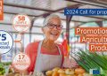 campaña promocion UE