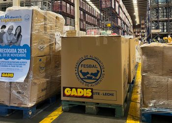 Gadis La Gran Recogida
