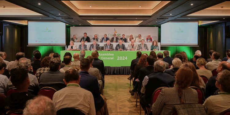 Grupo AN asamblea general