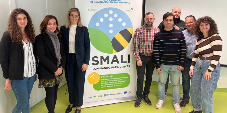 SMALI