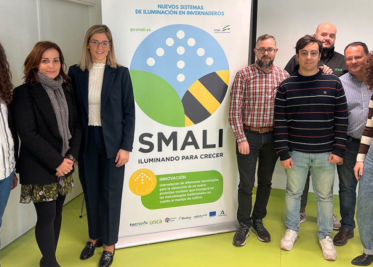 SMALI