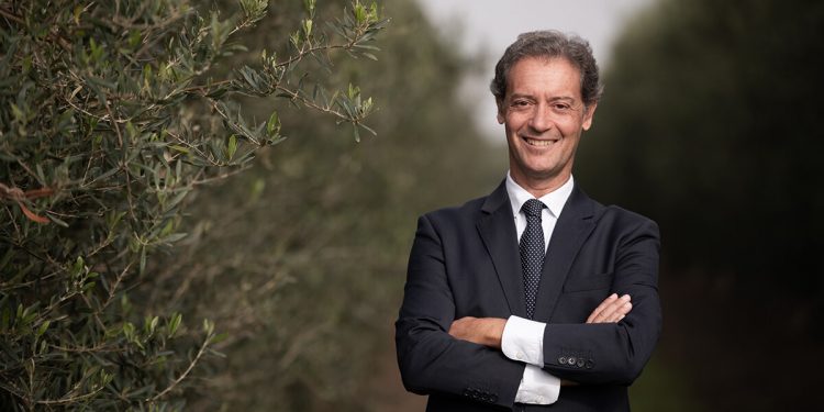 Sergio Anton - Aceitunas Guadalquivir