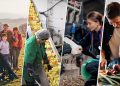 Alimentacion