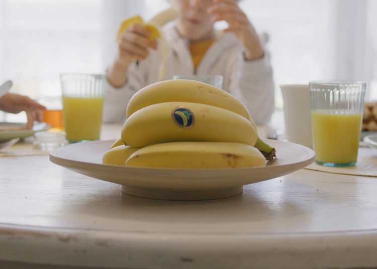 Plátano de Canarias