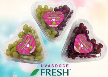 Uvasdoce Fresh
