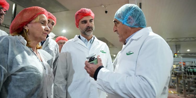 Andalucía lidera las exportaciones de aceituna de mesa a nivel mundial