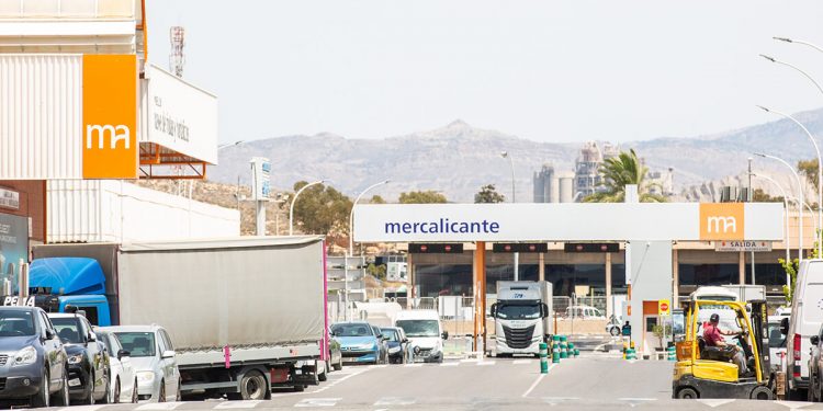 Mercalicante