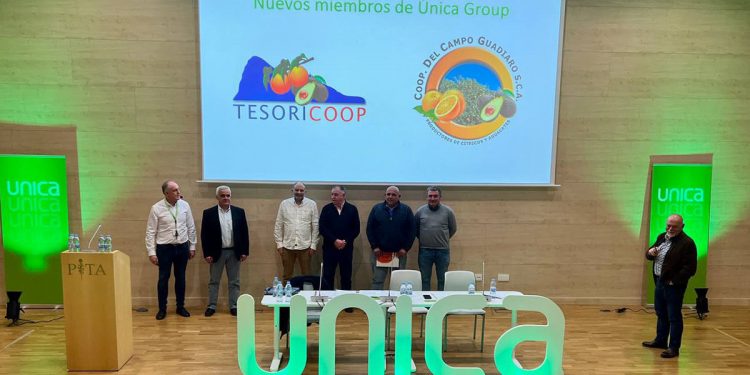 Unica Asamblea