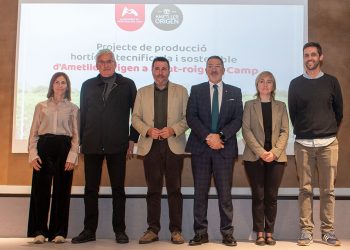 presentacion hub ametller origen