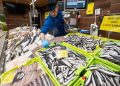 Comienza la campaña de la anchoa del Cantábrico en BM Supermercados. Fuente: BM Supermercados.