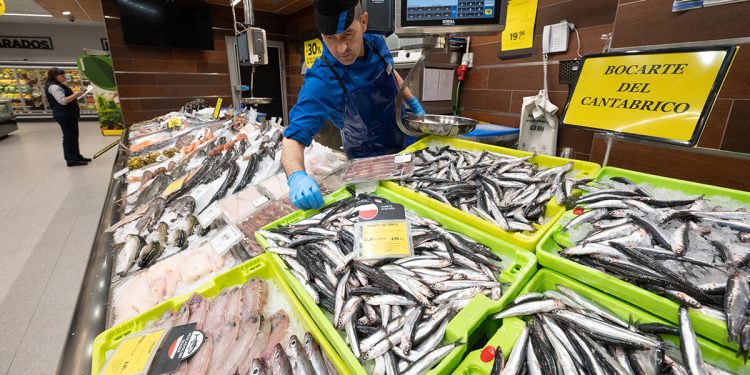 Comienza la campaña de la anchoa del Cantábrico en BM Supermercados. Fuente: BM Supermercados.