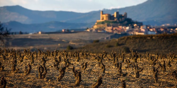DOCa Rioja