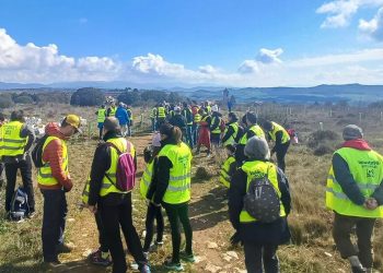 Plantacion arboles Zigoitia - PepsiCo