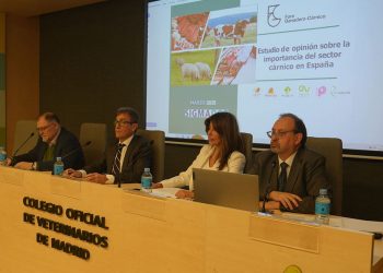 Presentacion estudio Foro Carnico