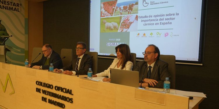Presentacion estudio Foro Carnico