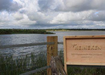 Heineken Proyecto Donana