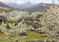 Valle del Jerte en flor