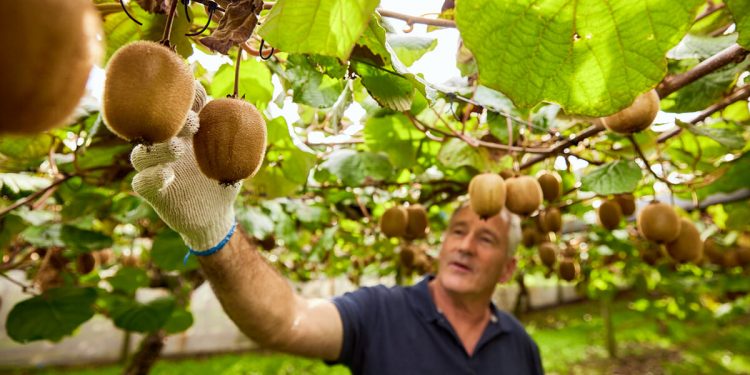 Zespri