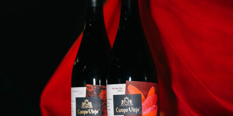 Campo Viejo - Wine Experience Collection