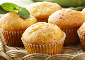 Proteína vegetal con raíces regionales: El potencial de los ingredientes de haba