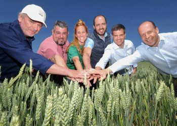 Agricultura regenerativa Nestle