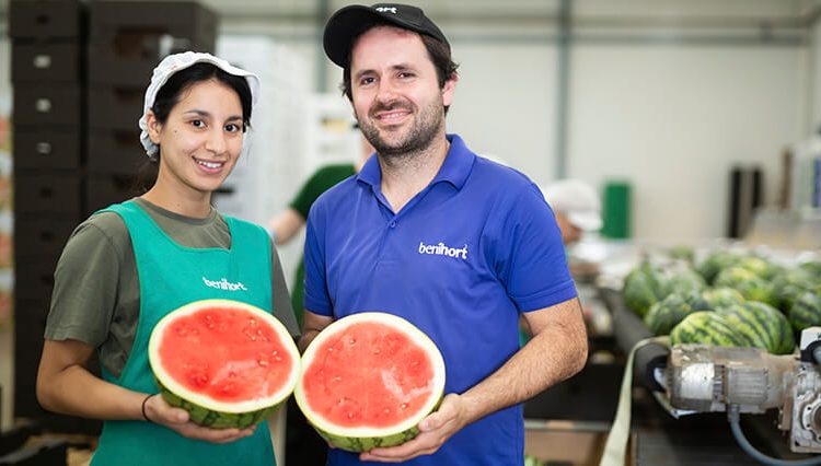 Benihort - sandia