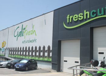 Freshcut - Galifresh