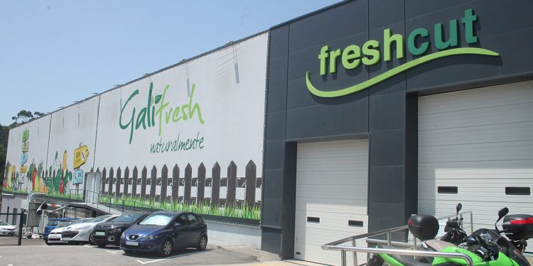 Freshcut - Galifresh