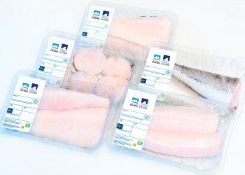 Merluza de Celeiro Formatos listos para consumo