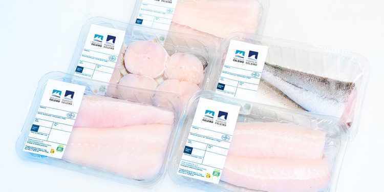 Merluza de Celeiro Formatos listos para consumo