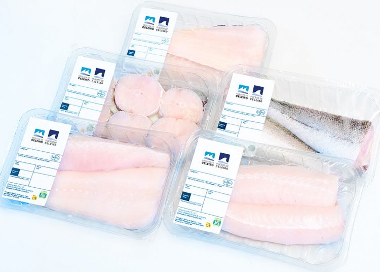 Merluza de Celeiro Formatos listos para consumo
