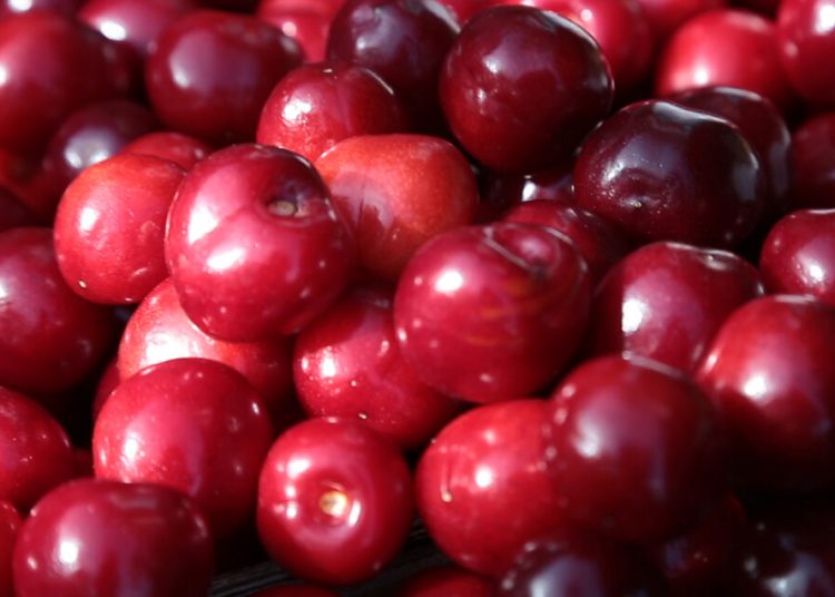 Picotas DOP del Jerte