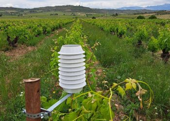 Tres startups españolas, entre las 10 seleccionadas por EIT Food para validar su tecnología sobre el terreno