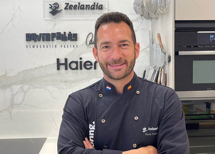 Zeelandia - David Pallas