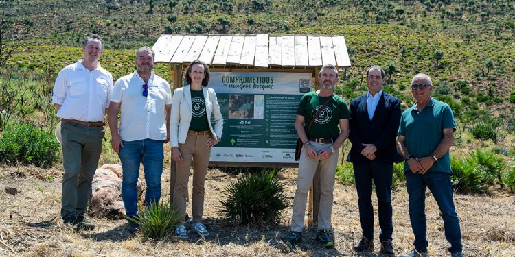 Carrefour - FSC - Mahou