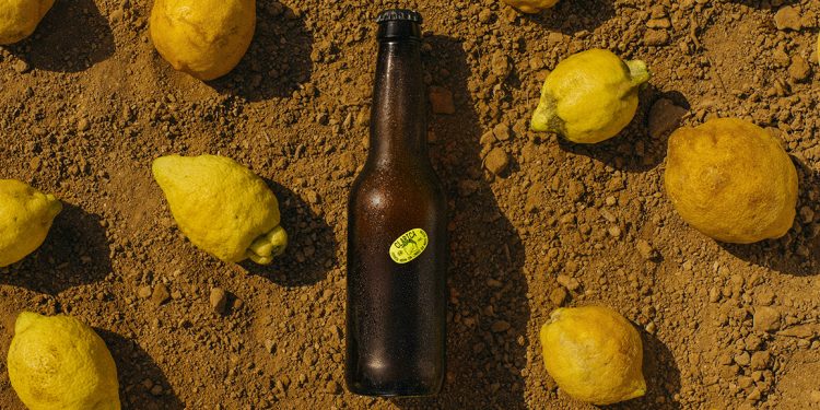Clarica, la nueva cerveza hecha con limones que nadie quería. Fuente: Limonar de Santomera