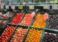 Consum refuerza su apuesta por la fruta de hueso local y adquiere un 19% más que la campaña anterior. Fuente: Consum