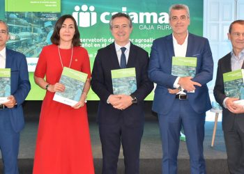 El sector agroalimentario español crece un 3,9 % en 2024 y refuerza su liderazgo en Europa