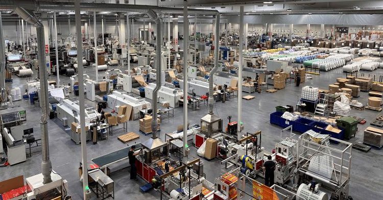 Eversia - nueva planta