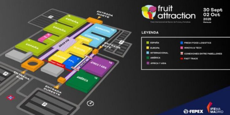 Fruit Attraction 2025 alcanza ya el 95% de ocupación. Fuente: Fepex