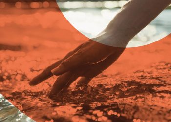 Procircular publica sus tarifas para 2026. Fuente: Procircular