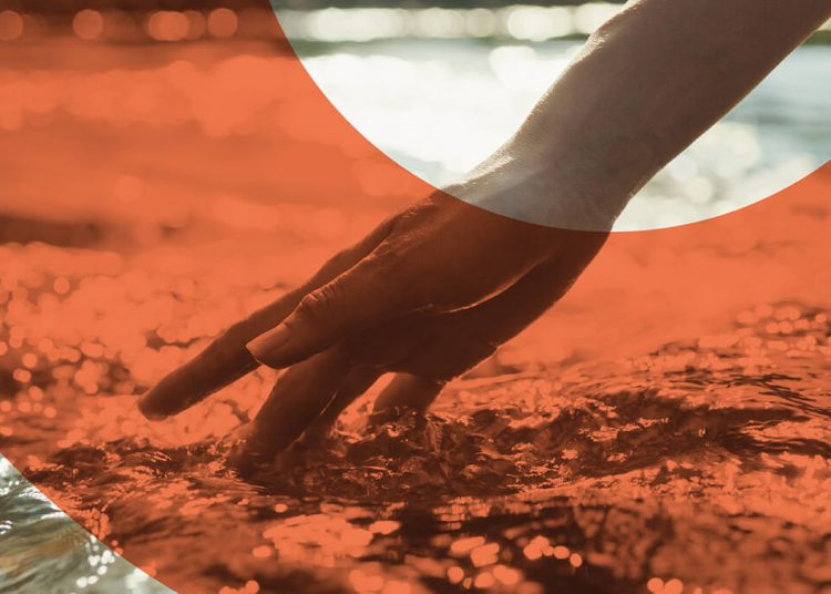 Procircular publica sus tarifas para 2026. Fuente: Procircular