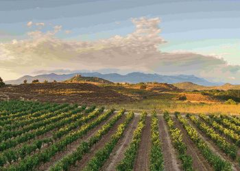 Zamora Company avanza en su estrategia de sostenibilidad. Fuente: Zamora Company