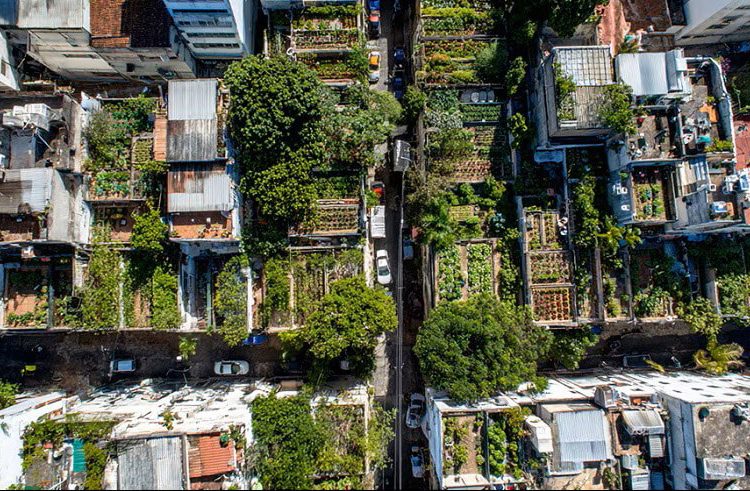 Agricultura vertical. Fuente: BBVA