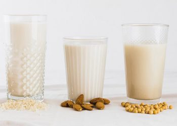 Las bebidas vegetales consolidan su liderazgo. Fuente: Yosoy