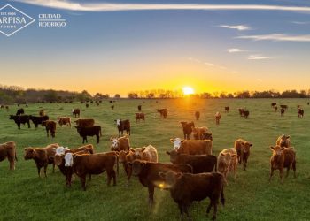 Carpisa Foods prevé alcanzar una facturación cercana a los 200 millones de euros en 2025. Fuente: Carpisa Foods.